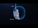 Odoo Video